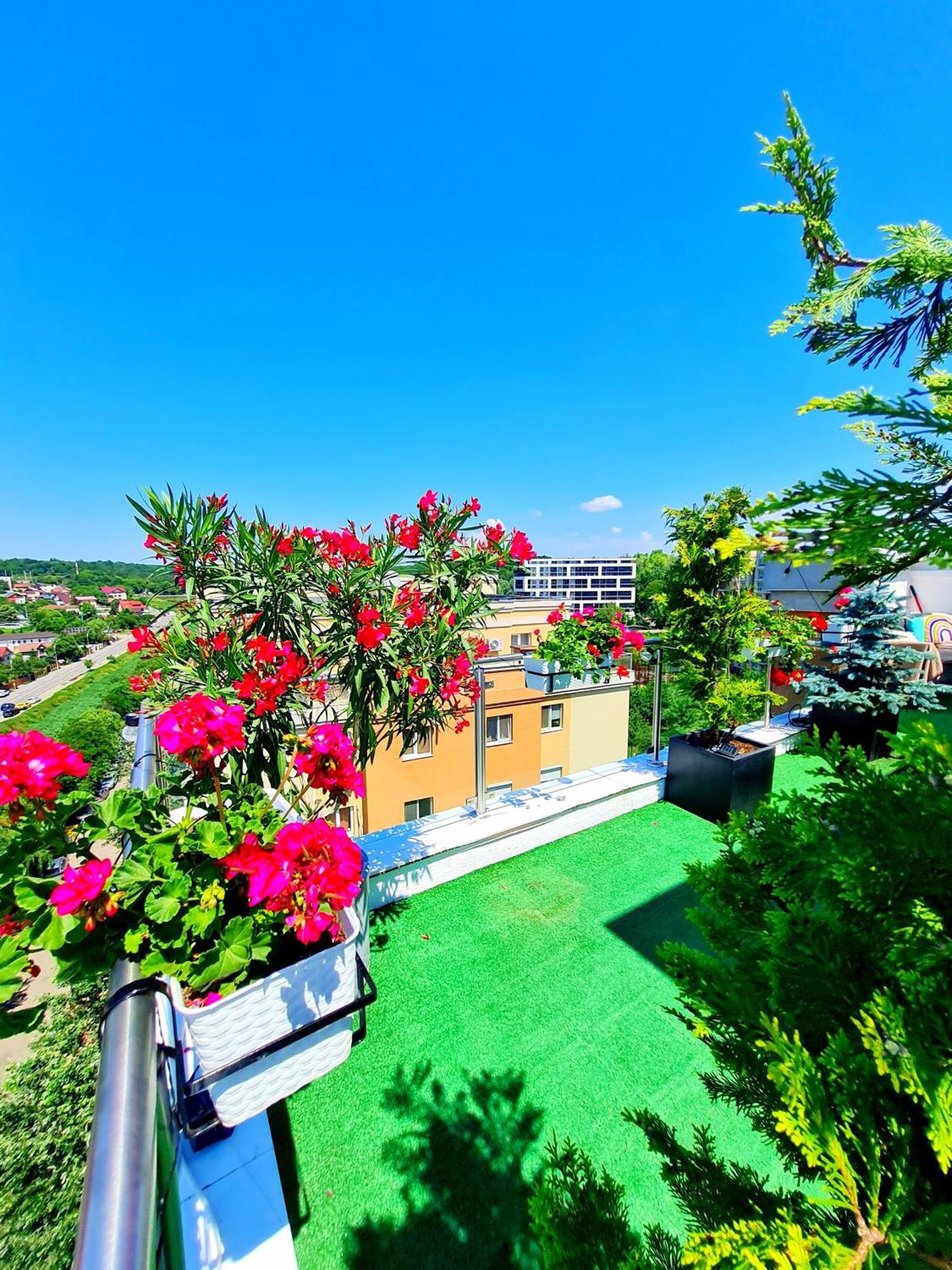 Penthouse View Aeroport Iasi Apartment Ngoại thất bức ảnh