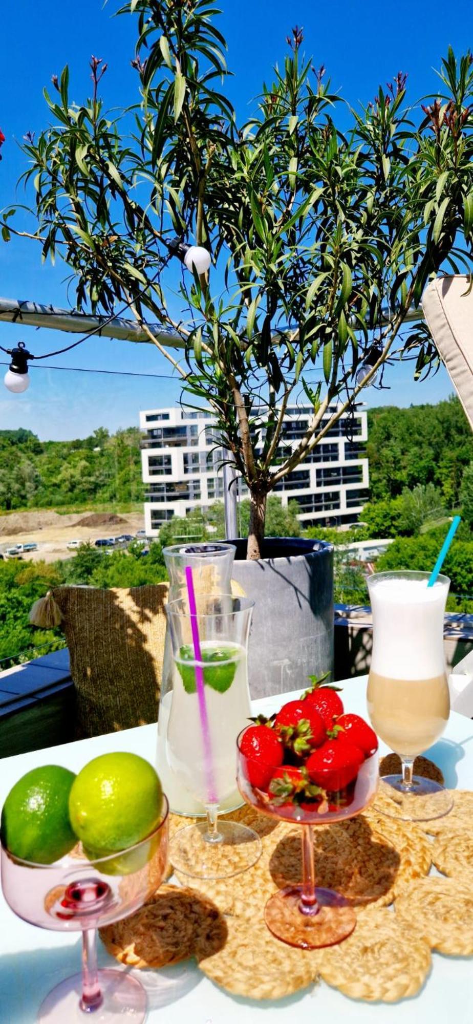 Penthouse View Aeroport Iasi Apartment Ngoại thất bức ảnh